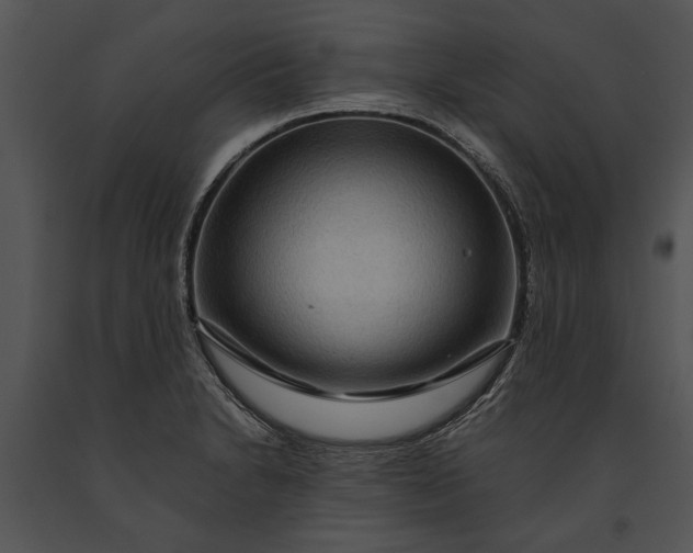 X0000091181230200708301210