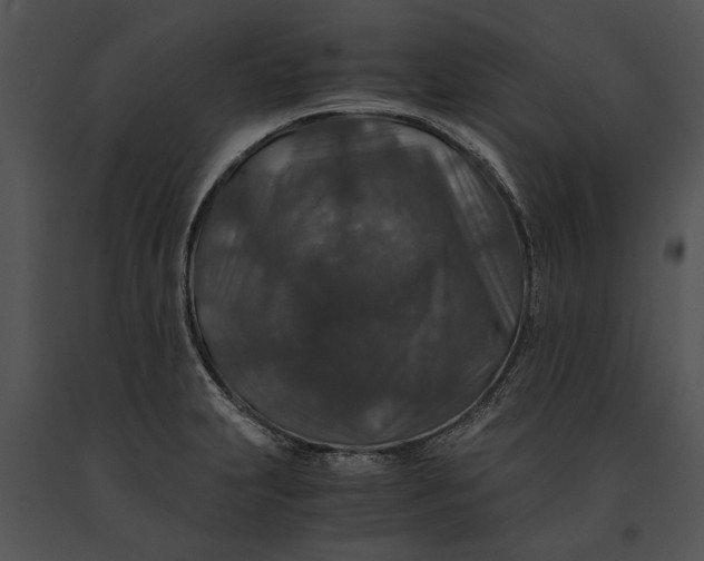 X0000091181231200708301210