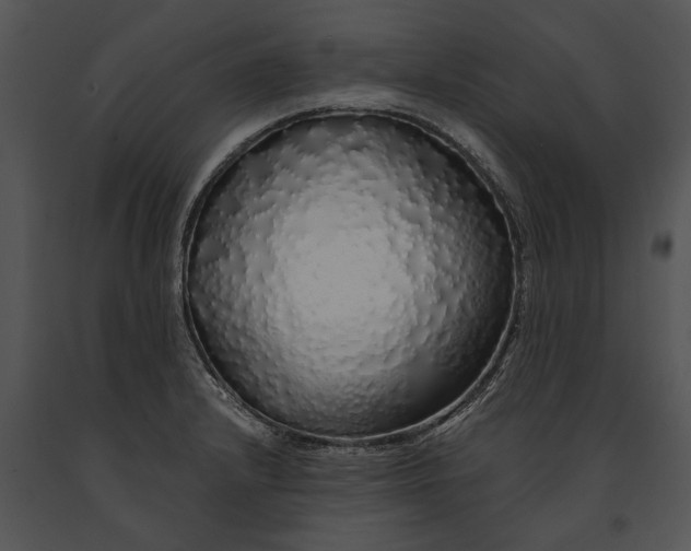 X0000091181232200708301210