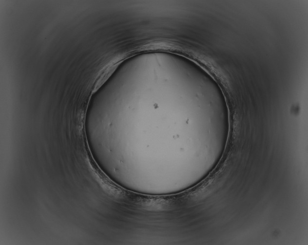 X0000091181233200708301210