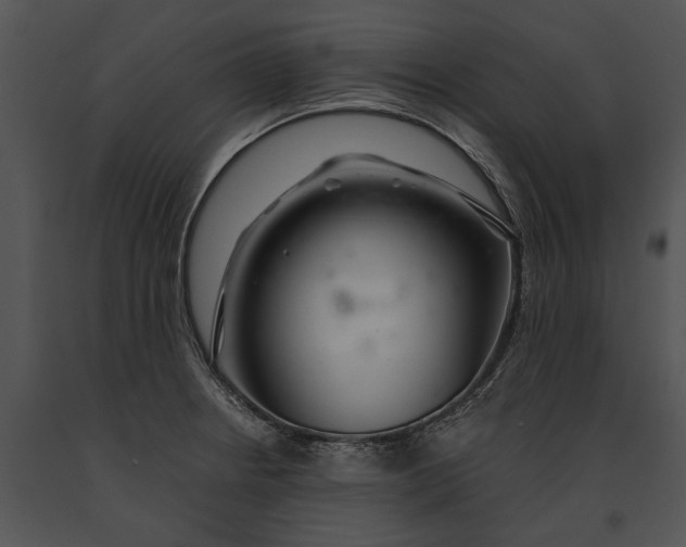 X0000091181234200708301210