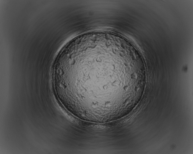 X0000091181235200708301210