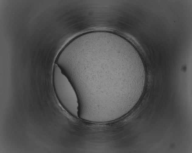 X0000091181236200708301210