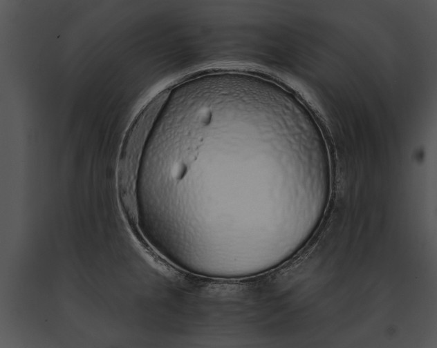 X0000091181237200708301210