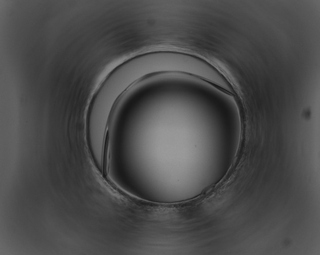 X0000091181238200708301210