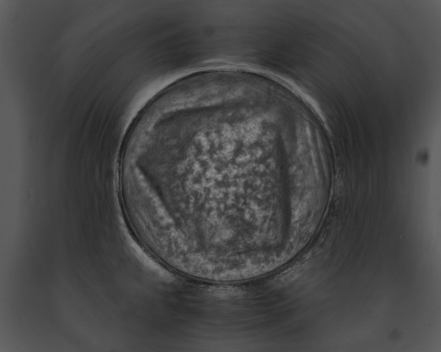 X0000091181239200708301210