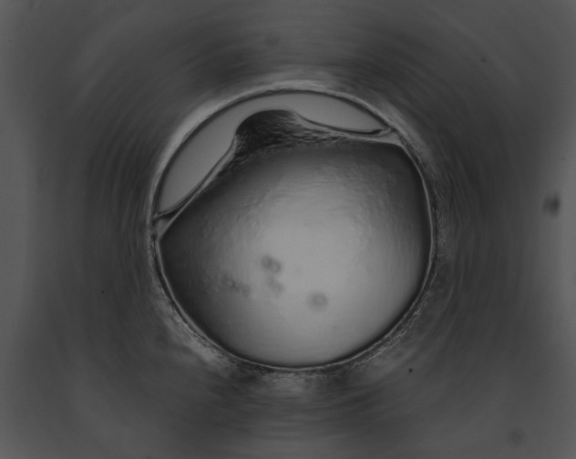 X0000091181240200708301210