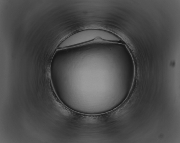 X0000091181241200708301210