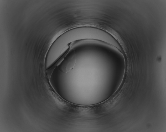 X0000091181242200708301210