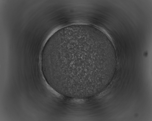 X0000091181243200708301210