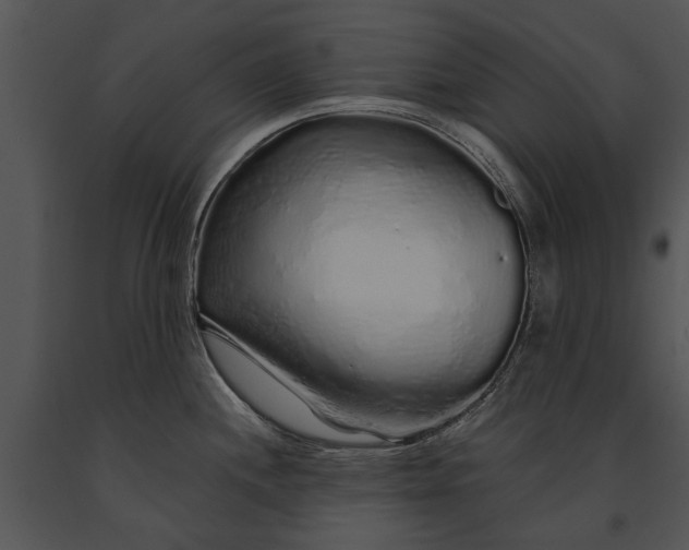 X0000091181244200708301210