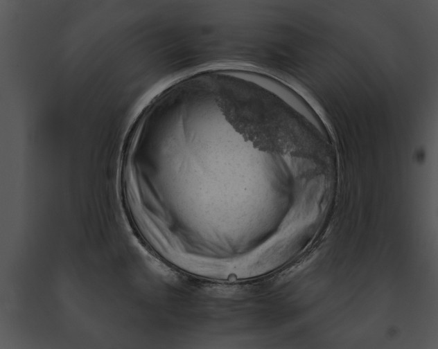 X0000091181245200708301210