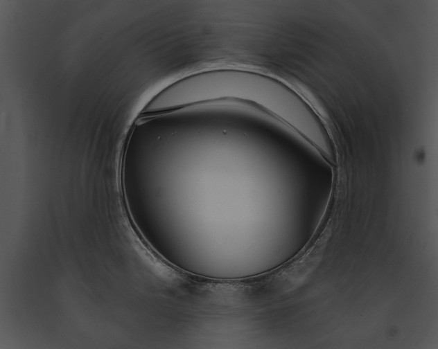 X0000091181246200708301210