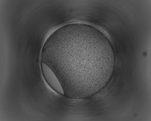 X0000091181247200708301210