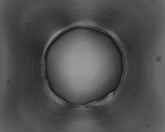 X0000091181248200708301210