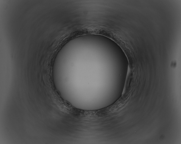 X0000091181249200708301209