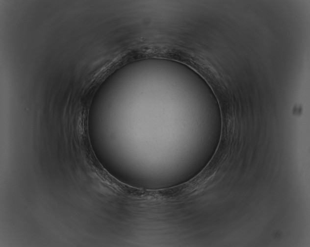 X0000091181250200708301209