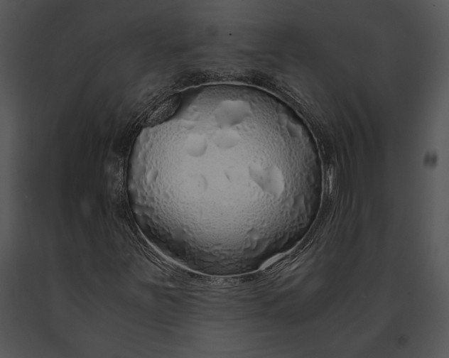 X0000091181251200708301209