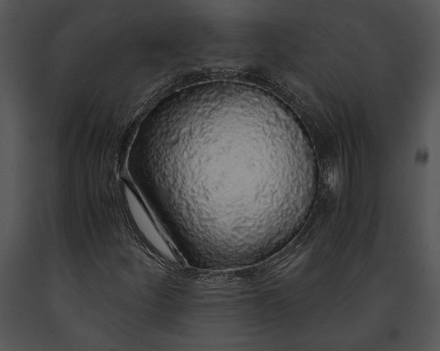 X0000091181252200708301209