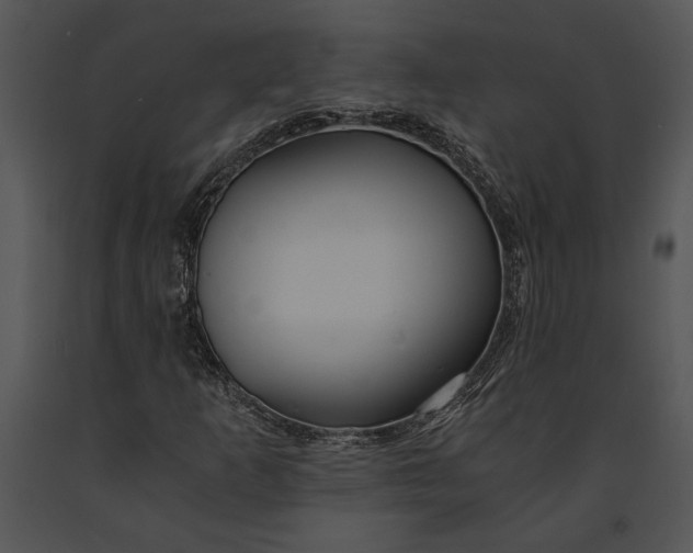 X0000091181253200708301209