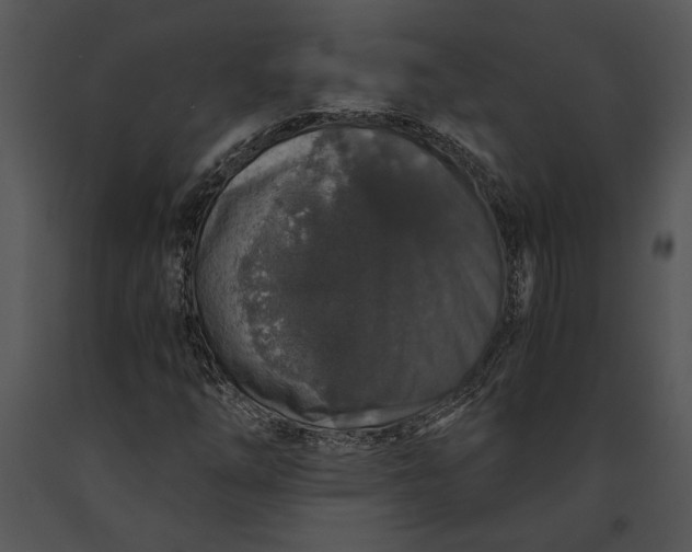 X0000091181254200708301209