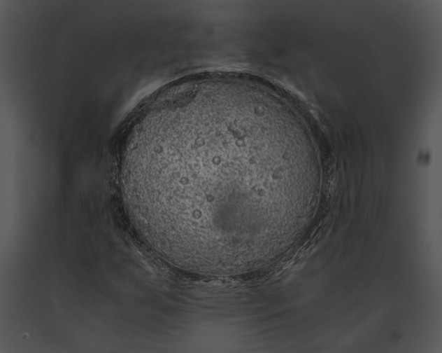 X0000091181255200708301209