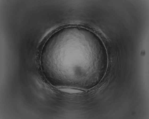 X0000091181256200708301209