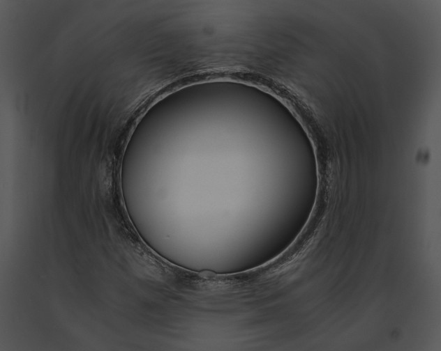 X0000091181257200708301209