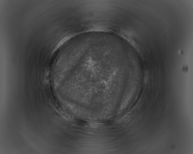 X0000091181258200708301209