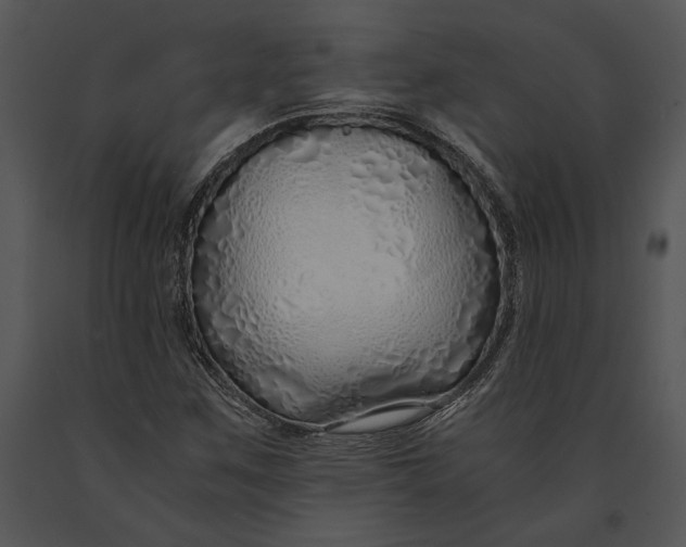 X0000091181259200708301209