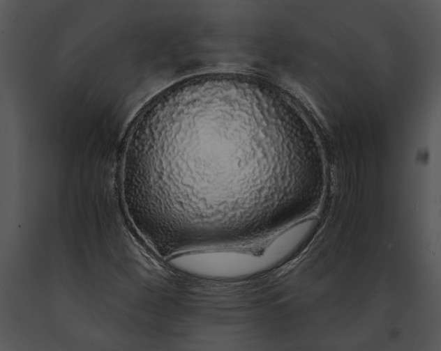 X0000091181260200708301209