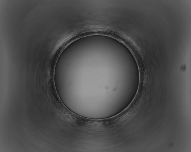 X0000091181261200708301209