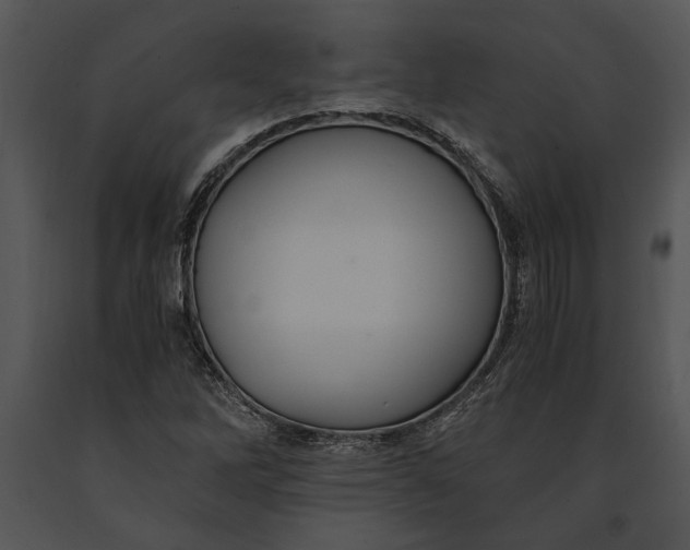 X0000091181262200708301209