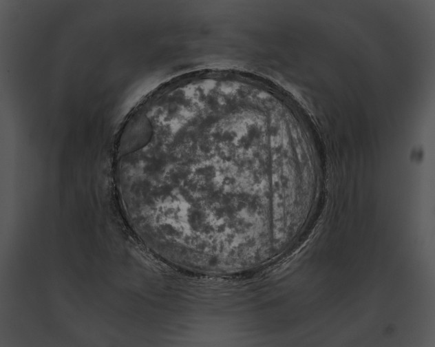 X0000091181263200708301209