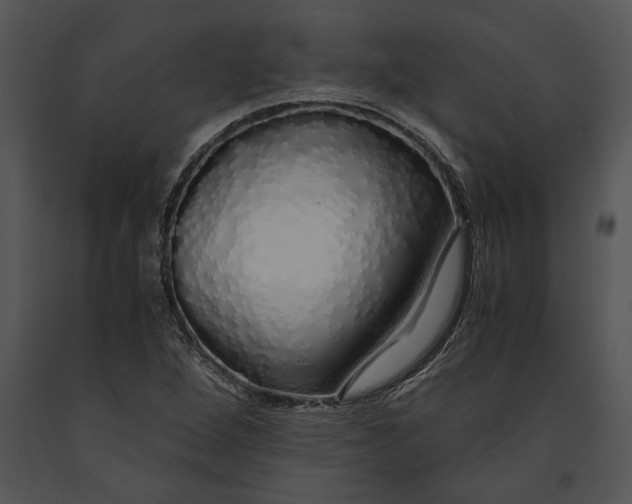 X0000091181264200708301209