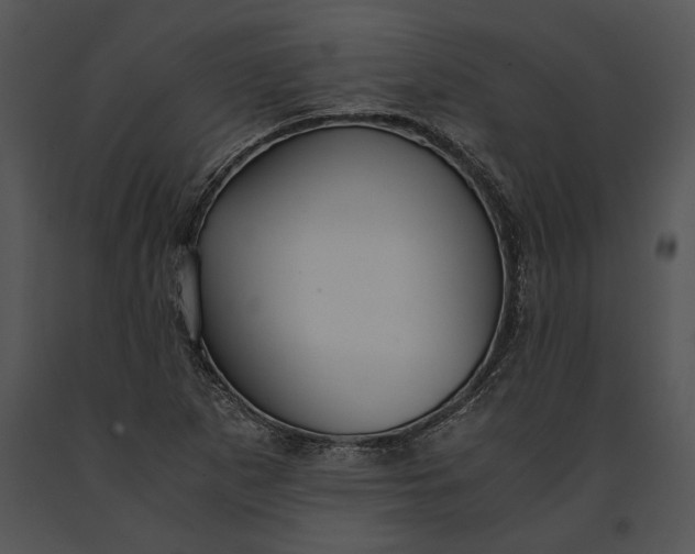 X0000091181265200708301209