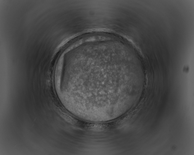 X0000091181266200708301209