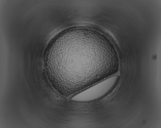 X0000091181267200708301209