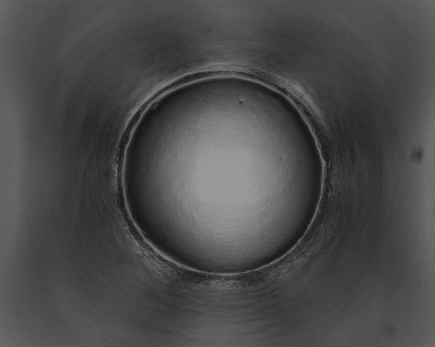 X0000091181268200708301209