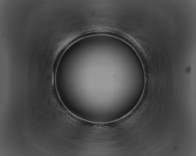 X0000091181269200708301209