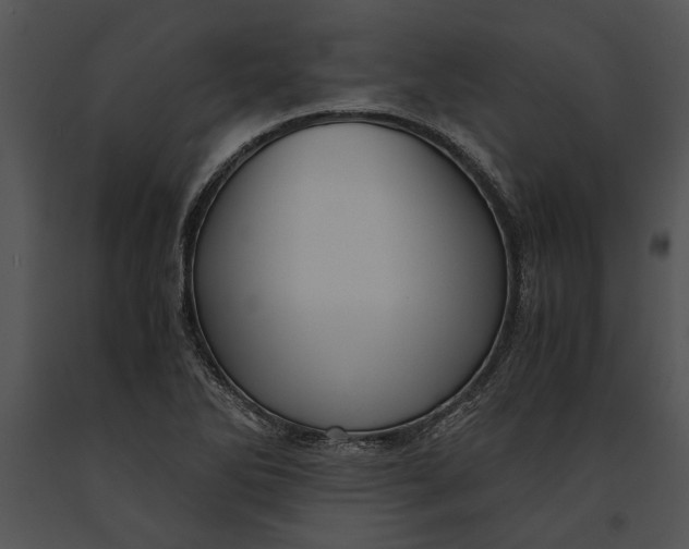 X0000091181270200708301209