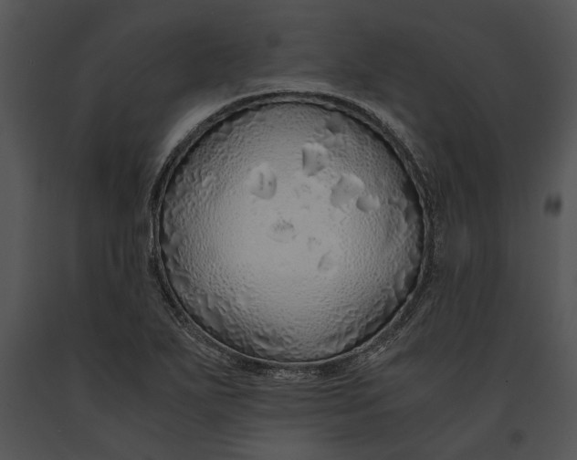 X0000091181271200708301209