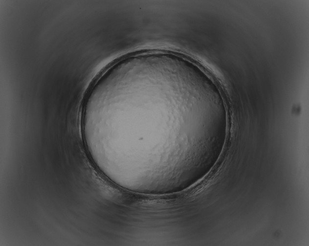 X0000091181272200708301209