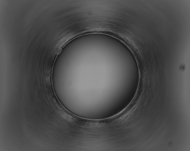 X0000091181273200708301209