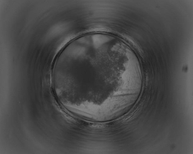 X0000091181274200708301209