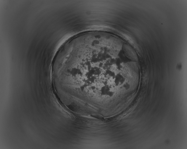 X0000091181275200708301209