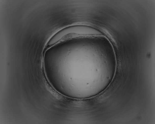 X0000091181276200708301209