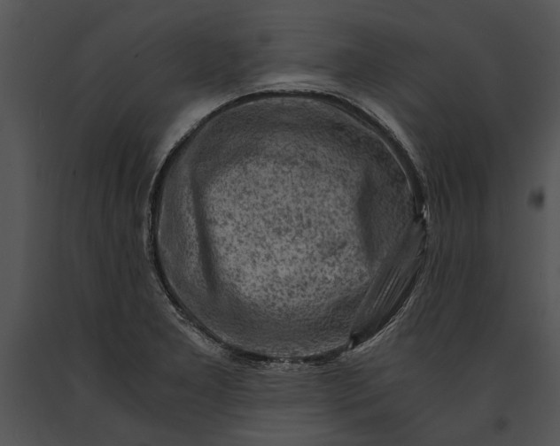 X0000091181277200708301209