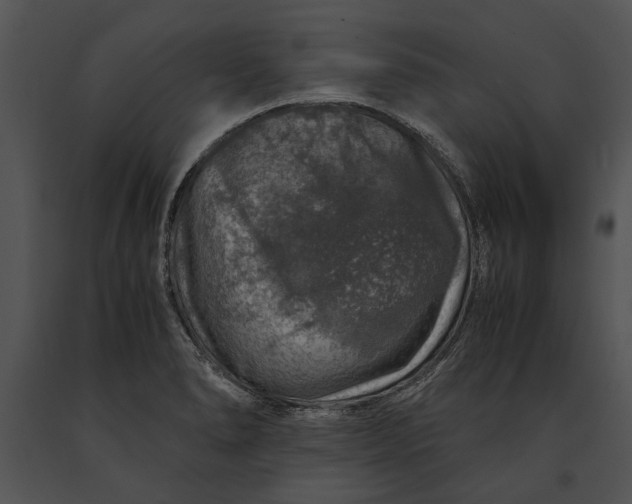 X0000091181278200708301209