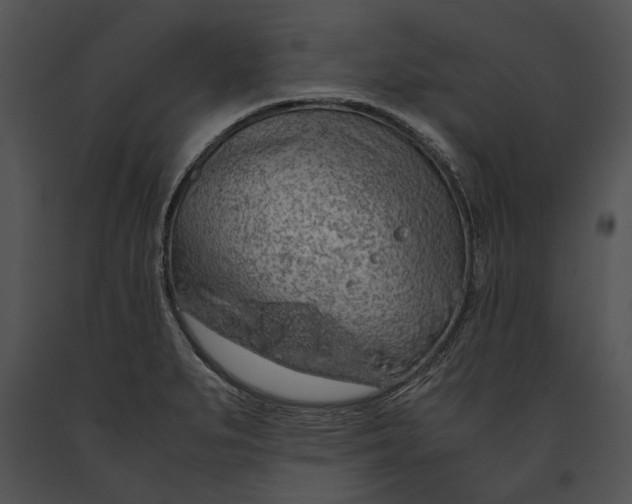 X0000091181279200708301209